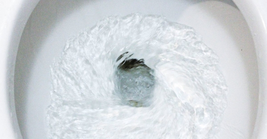 Flush Down Your Toilet